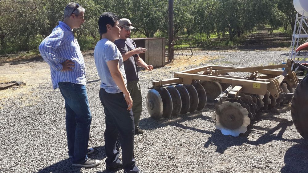 Walking a partner orchard with growers